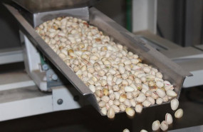 ep cooperativas agro alimentarias castilla la mancha preve una cosecha historica de 8900 toneladas