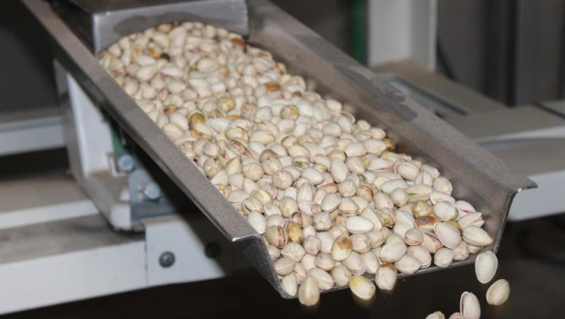 ep cooperativas agro alimentarias castilla la mancha preve una cosecha historica de 8900 toneladas