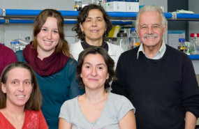 ep describen una nueva enfermedad rara caracterizada por rasgos faciales propios defectos cardiacos