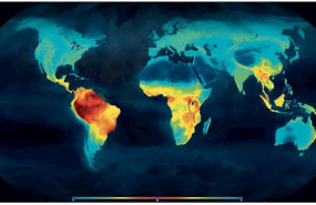 ep la extincion de especies tropicales durante el enfriamiento climatico de los ultimos 65 millones