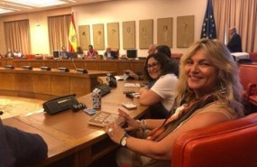 ep la presidenta de la comison del pacto de estado contra la violencia de genero beatriz carrillo de
