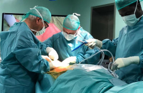 ep los doctores bartolome oliver vicen giletennamdi elenwoke