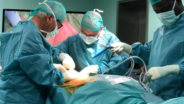ep los doctores bartolome oliver vicen giletennamdi elenwoke