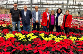 ep np capadr almeria produce 35 millones de flores de pascua que suponen el 33 del total nacional ep np capadr almeria produce 35 millones de flores de pascua que suponen el 33 del total nacional