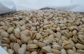 ep pistachos 20200428172403