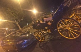 ep vehiculocochecaballosla colision
