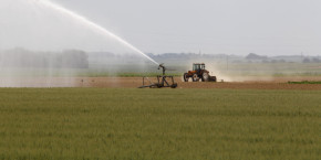 fermier agriculteur paysan champ arrosage eau irrigation champ 20240419143921 