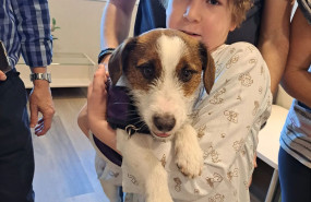 imagen da nio hospitalizado fundacin infantil ronald mcdonald imagen da nio hospitalizado fundacin infantil ronald mcdonald