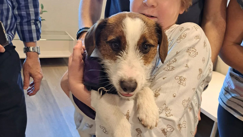 imagen da nio hospitalizado fundacin infantil ronald mcdonald