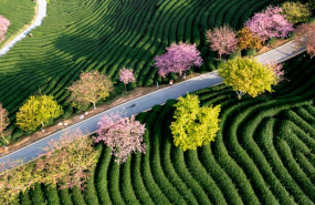 np eviden lanza ecodesigncloud np eviden lanza ecodesigncloud