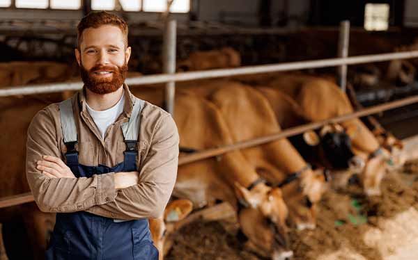 produccin agropecuaria 1