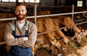 produccin agropecuaria 1 produccin agropecuaria 1