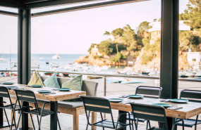 sesnegres 02 20240528175001 