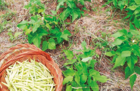 123 5 20240528150728 