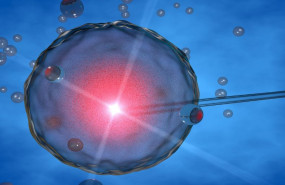 1596438621 5f27b274d32e2vulo 1596438621 5f27b274d32e2vulo