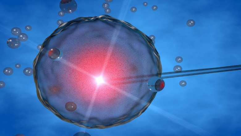 1596438621 5f27b274d32e2vulo