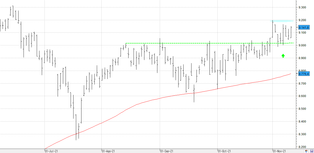 c101121ibex