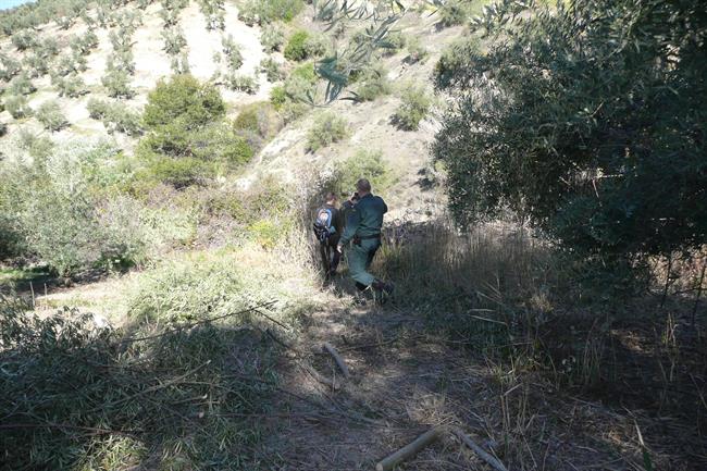 Agentes de la Guardia Civil rastrean cebos envenenados en la Operación Antitox. | EUROPA PRESS/GUARDIA CIVIL ep agentesla guardia civil rastrean cebos envenenadosla operacion antitox