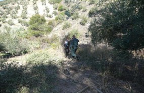 ep agentesla guardia civil rastrean cebos envenenadosla operacion antitox