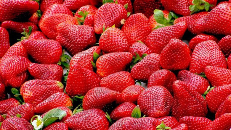 ep archivo fresas 20240423175804 ep archivo fresas 20240423175804