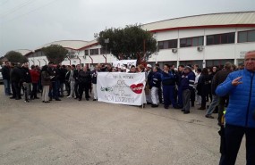 ep concentradosla plantadeoleoalcolea