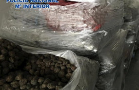 ep grupomadrid la policia nacional inmoviliza mas de 25000 kilos de almejas japonicas ilegales