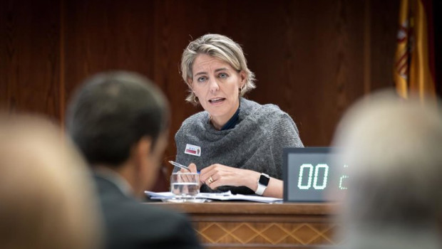 ep la directora de regulacion de la asociacion de empresas de energia electrica aelec marta castro