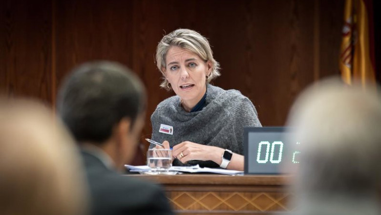 La directora de Regulación de la Asociación de Empresas de Energía Eléctrica (AELEC), Marta Castro Pérez-Chirinos | Diego Radamés - Europa Press ep la directora de regulacion de la asociacion de empresas de energia electrica aelec marta castro