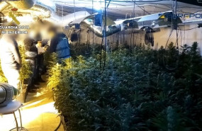 ep la guardia civil y la europol desarticulan una organizacion internacional dedicada al