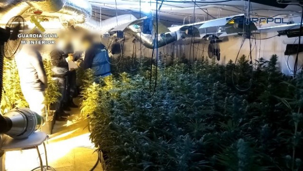 ep la guardia civil y la europol desarticulan una organizacion internacional dedicada al