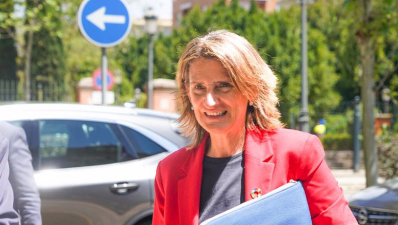 La vicepresidenta tercera del Gobierno y ministra para la Transición Ecológica y el Reto Demográfico, Teresa Ribera | Eduardo Briones - Europa Press ep la vicepresidenta tercera del gobierno y ministra para la transicion ecologica y el reto 20220509102203