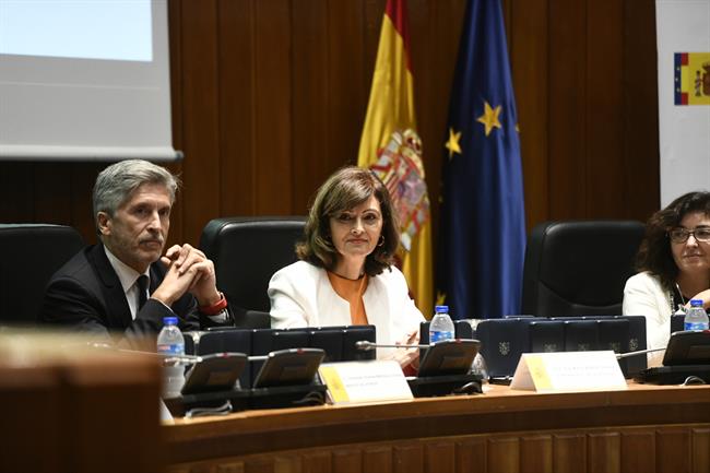 El ministro del Interior, Fernando Grande-Marlaska, preside la entrega de medall | Oscar del Pozo - Europa Press ep ministrointerior fernando grande-marlaska presideentregamedall