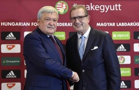 ep tecnico belga georges leekens nombrado nuevo seleccionadorhungria