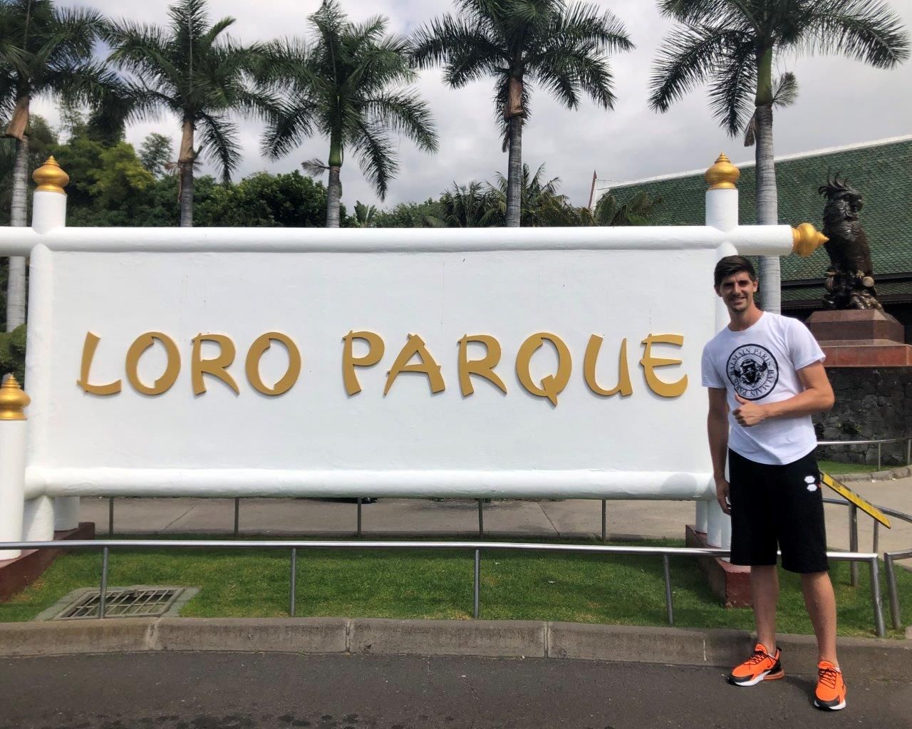 1562672787 thibautcourtois visita loro parque 01 1562672787 thibautcourtois visita loro parque 01