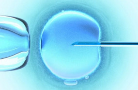 1585049751 ovulo 3 gps