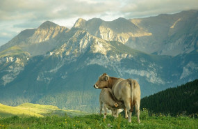 1636716781 habitacioncon vistas 2294