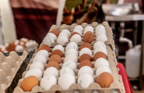 ep archivo cartones de huevos en un supermercado ep archivo cartones de huevos en un supermercado