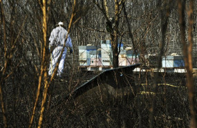 ep archivo   un apicultor revisa y riega sus colmenas junto a una zona quemada por el incendio de