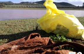 ep basuraleza recogidariosla campana liberaseobirdlifeecoembes