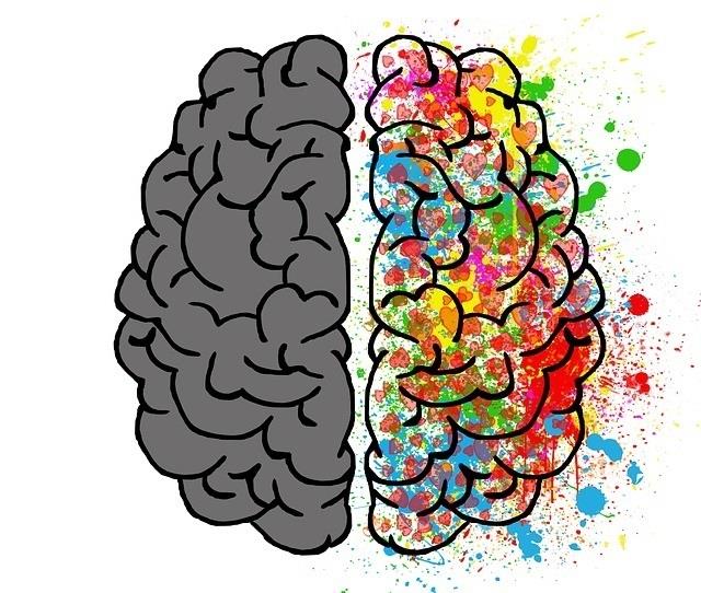 Cerebro | PIXABAY ep cerebro 20170929112202
