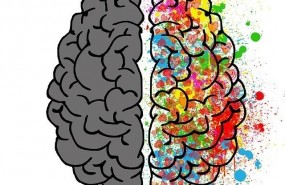 ep cerebro 20170929112202