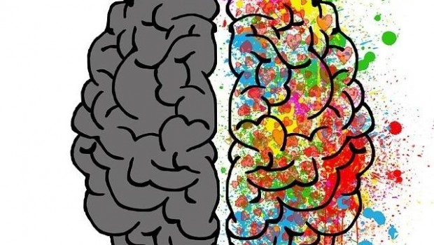 ep cerebro 20170929112202