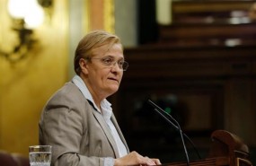 ep la diputadapsoe angeles alvarezcongreso