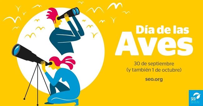 Más de 300 actividades este fin de semana en el Día de las Aves | SEO/BIRDLIFE ep mas300 actividadesfinsemanadialas aves