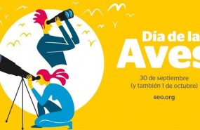 ep mas300 actividadesfinsemanadialas aves