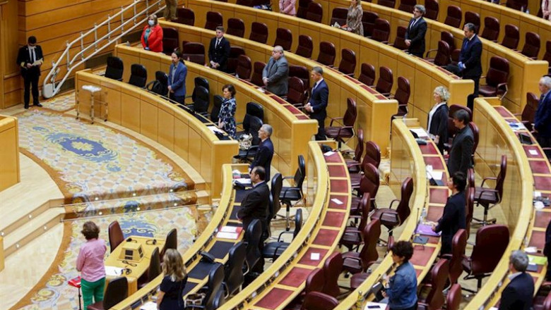Minuto de silencio por los fallecidos por coronavirus en un Pleno del Senado de mayo. | Ricardo Rubio - Europa Press ep minuto de silencio por los fallecidos por coronavirus en un pleno del senado de mayo