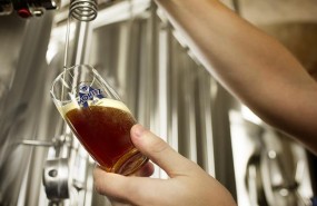 ep moritz beer lab ep moritz beer lab