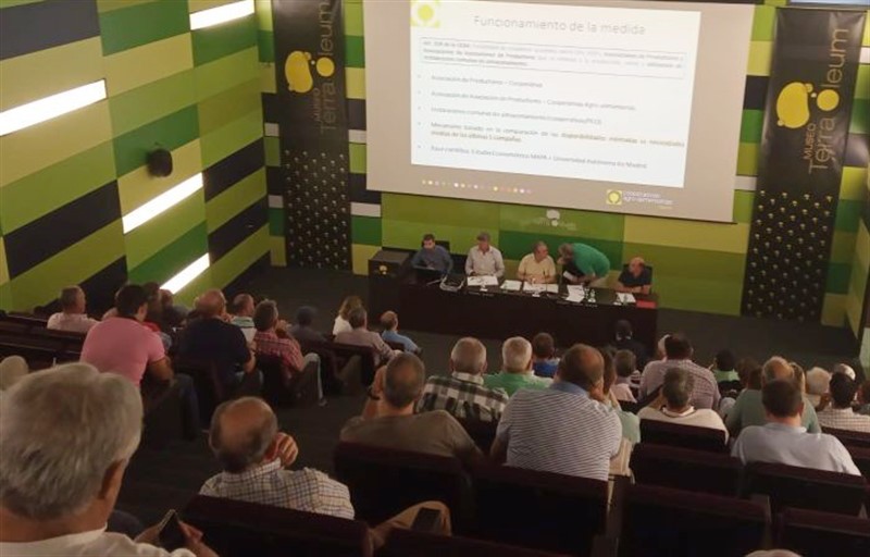 ep reunion del consejo sectorial del aceite de oliva de cooperativas agro-alimentarias