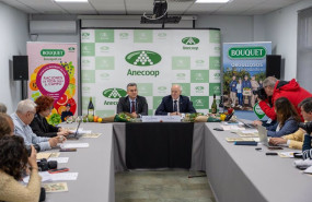 ep rueda de prensa de anecoop