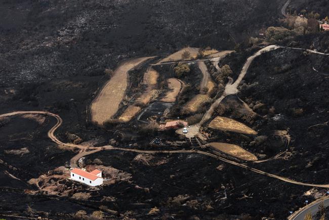 Terreno quemado enel incendio de Gran Canaria | ARTURO RODRIGUEZ/CEDIDO POR PRESIDENCIA GOBIERNO D ep terreno quemado enel incendiogran canaria